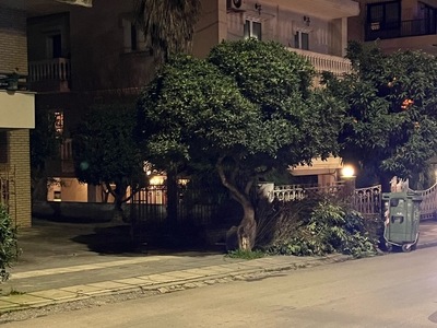 ΜΑΖΕΜΑ ΚΛΑΔΙΩΝ