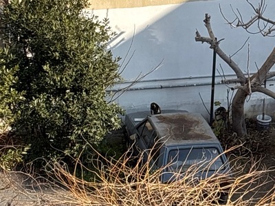 Εγκαταλελειμμενα οχηματα στην Νεα Κρηνη