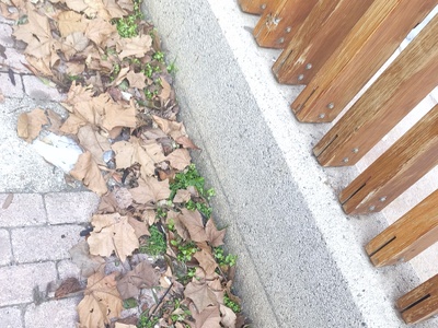 ΕΠΕΙΓΟΝ: Καθαρισμός και αποκατάσταση υγιεινής στο πάρκο της Βρυούλων