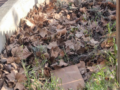 ΕΠΕΙΓΟΝ: Καθαρισμός και αποκατάσταση υγιεινής στο πάρκο της Βρυούλων