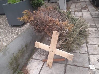 αμμεσα  	Παρασκευοπουλου