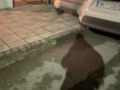 ΣΤΑΘΜΕΥΣΗ ΣΕ ΠΕΖΟΔΡΟΜΙΟ