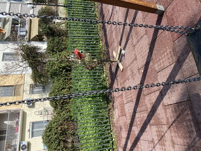 Καθαριοτητα παρκου