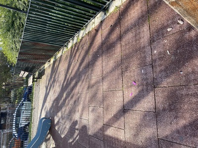 Καθαριοτητα παρκου