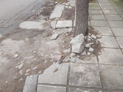 Εκτεταμένη καταστροφή πεζοδρομίου