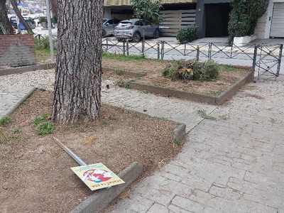 Καθαριοτητα παρκου και παιδικης χαρας   Αιγαίου