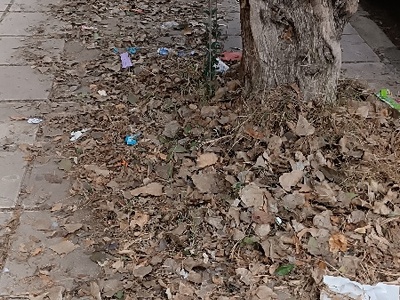 Ανύπαρκτη καθαριότητα  	Μεγάλου Αλεξάνδρου