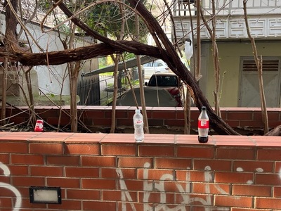 ΑΠΟΡΡΙΜΑΤΑ  Κομνηνων