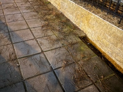 ΒΡΩΜΙΚΑ ΠΕΖΟΔΡΟΜΙΑ / ΔΡΟΜΟΣ   Καυκάσου   Χαλδιας Θηχης με Χαλδιας