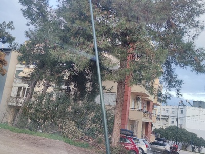 Κολωνα φωτισμου υπο καταρευση  	Ιωάννη Αναγνωστοπούλου,