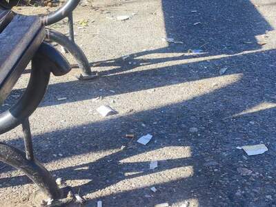 Καθαρισμός και συντήρηση πολυλειτουργικού Πάρκου Αν. Παπανδρέου