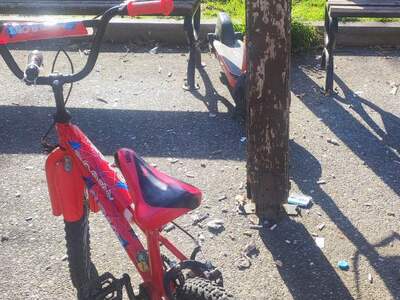 Καθαρισμός και συντήρηση πολυλειτουργικού Πάρκου Αν. Παπανδρέου