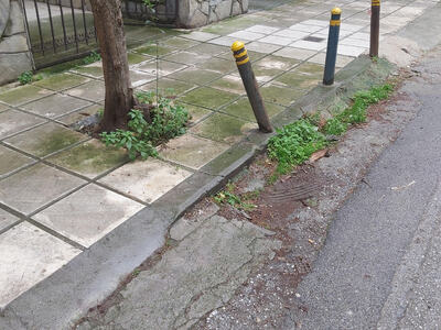 Εκτεταμένη καταστροφή πεζοδρομίου   Ρόδου 6 και Καλύμνου 1