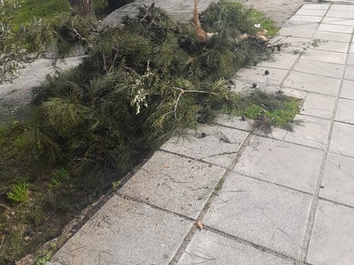 αμμεσα  Ενθ αντιστασεως