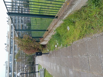 Ξεσκέπαστη καλαθακια  Κολυμβητήριο Καλαμαριάς