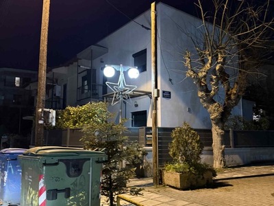 ΧΡΙΣΤΟΥΓΕΝΙΑΤΙΚΟ ΔΕΝΤΡΟ  Παπαφλέσσα
