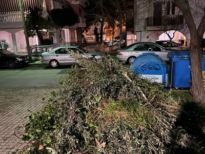 ΜΑΖΕΜΑ ΚΛΑΔΙΩΝ ΕΠΙ ΤΗΣ ΤΥΡΟΛΟΗΣ