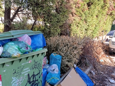 Αποκομιδή κλαδιών από την Τσαγκαλίδη Δημητριου