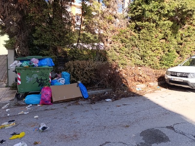 Αποκομιδή κλαδιών από την Τσαγκαλίδη Δημητριου