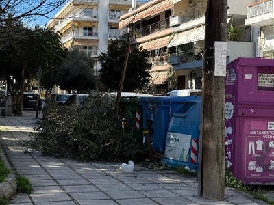 ΚΛΑΔΙΑ  	Καυκάσου
