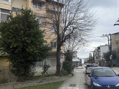 Κλάδεμα κορυφής δέντρου 7 μέτρων  	Χανίων