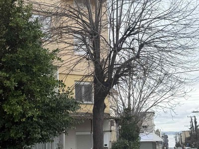 Κλάδεμα κορυφής δέντρου 7 μέτρων  	Χανίων