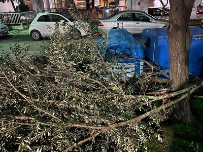 ΜΑΖΕΜΑ ΚΑΛΔΙΑ ΤΥΡΟΛΟΗΣ 1