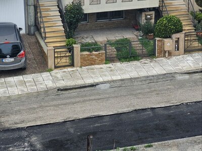 ΝΕΚΡΟ ΓΑΤΑΚΙ ΣΤΟ ΔΡΌΜΟ  Γιάννη Ρίτσου
