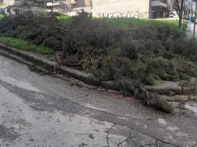αμμεσα  Κωνσταντινου καραμανλη