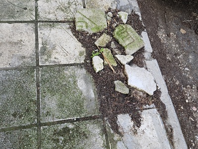 Αναφορά επικινδυνότητας πεζοδρομίου και αίτημα άμεσης αποκατάστασης