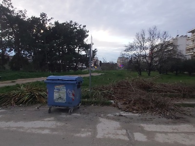 Κλαδιά στη γωνία κάδων Προέκτασης Πόντου & Σπύρου Μουστακλή