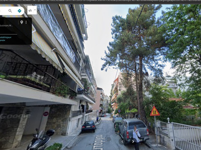 ΕΠΙΚΙΝΔΥΝΟ ΑΙΩΝΟΒΙΟ ΔΕΝΤΡΟ  ΠΛΟΥΤΑΡΧΟΥ