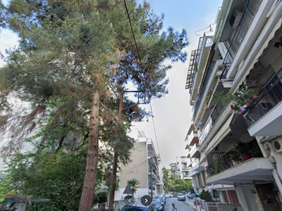 ΕΠΙΚΙΝΔΥΝΟ ΑΙΩΝΟΒΙΟ ΔΕΝΤΡΟ  ΠΛΟΥΤΑΡΧΟΥ