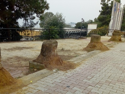Ακόμη μία παρέλαση με δείκτες τους κατεστραμμένους φοίνικες!