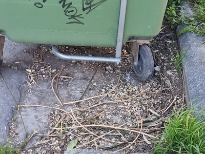 Καθαρισμός κλαδιών  Ερμονασης