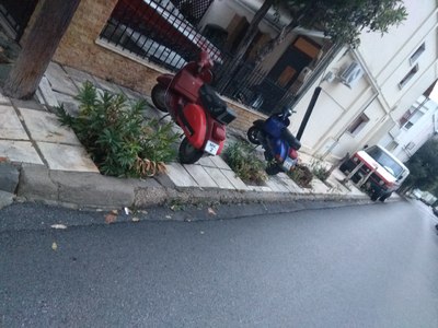 Εκρίζωση κορμών και φυτευση νέων