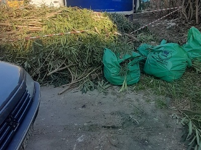 εικονα ντροπης  Αριστοφανους