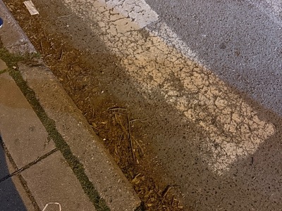 ΒΡΩΜΙΚΟΙ ΔΡΟΜΟΙ  	Θεμιστοκλή Σοφούλη