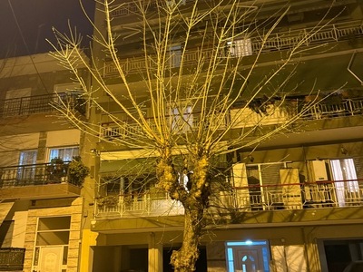 ΔΕΝΤΡΟ ΓΙΑ ΚΛΑΔΕΜΑ  Θήχης