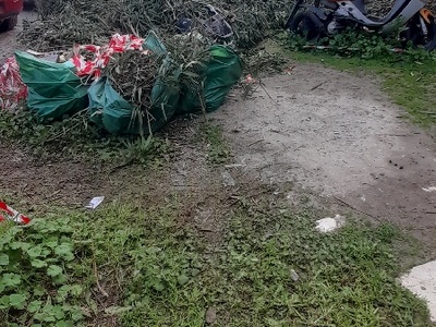 σακκουλες    Αριστοφάνους