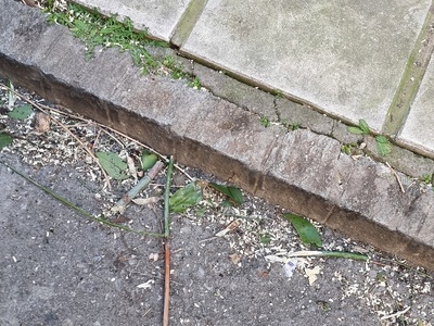 Ασκουπιστη για μήνες η οδος Αδραμυτιου και Δρακοπούλου