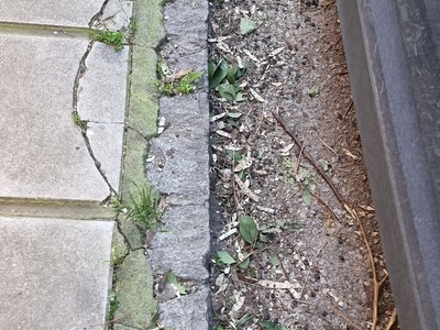 Ασκουπιστη για μήνες η οδος Αδραμυτιου και Δρακοπούλου