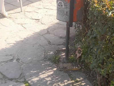 οποτε μπορειτε  Ελ βενιζελου