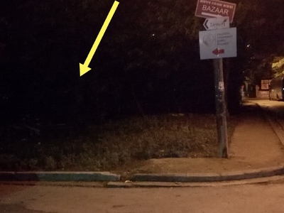 Καθαρισμός οικοπέδου