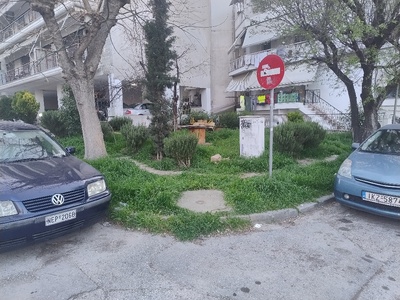 ΚΟΠΗ ΧΟΡΤΩΝ   πάρκο      Αμασειας & Αγ.Παντελεημονος