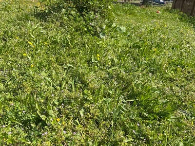 ακουρευτα  Εθνικής Αντιστάσεως