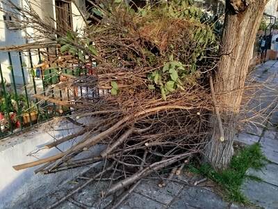 Αποκομιδή αποβλήτων κηπου  Παύλου Μελά