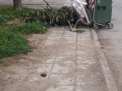 αμμεσα Κλαδια και καθαρισμα αι ελεγχος και σε αλλα σημεια    Κνωσου