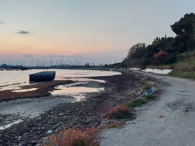 Καθαρισμός - απομάκρυνση φυκιών και σκουπιδιών απο την ακτή στην παραλία Νέας Κρήνης.