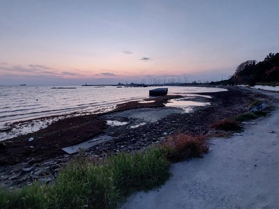 Καθαρισμός - απομάκρυνση φυκιών και σκουπιδιών απο την ακτή στην παραλία Νέας Κρήνης.